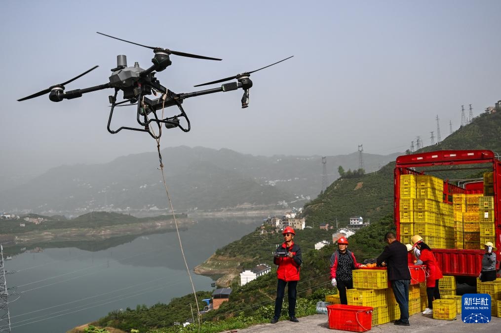 湖北秭归:脐橙“飞”上天 湖北秭归:脐橙“飞”上天