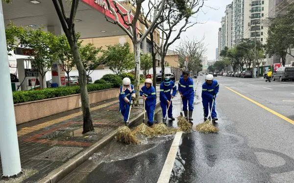 见证历史，上海气温创152年同期最高！飘絮预警，即将峰值！过敏人群预防方法→