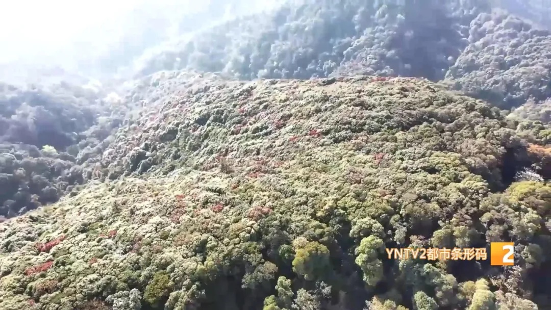 高温、阵性大风……云南气温进入“快车道”!警惕这些强对流天气 高温、阵性大风……云南气温进入“快车道”!警惕这些强对流天气