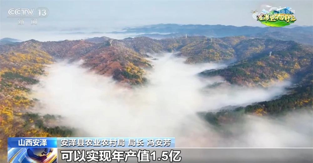 从“赏花1.0”到“产业2.0” 特色产业“以花为媒”绘就乡村振兴新画卷