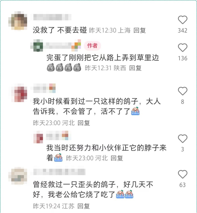 不要碰！路边遇到这种诡异姿势的鸟，赶紧远离！