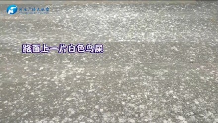 林业局回应郑州天屎之路争议