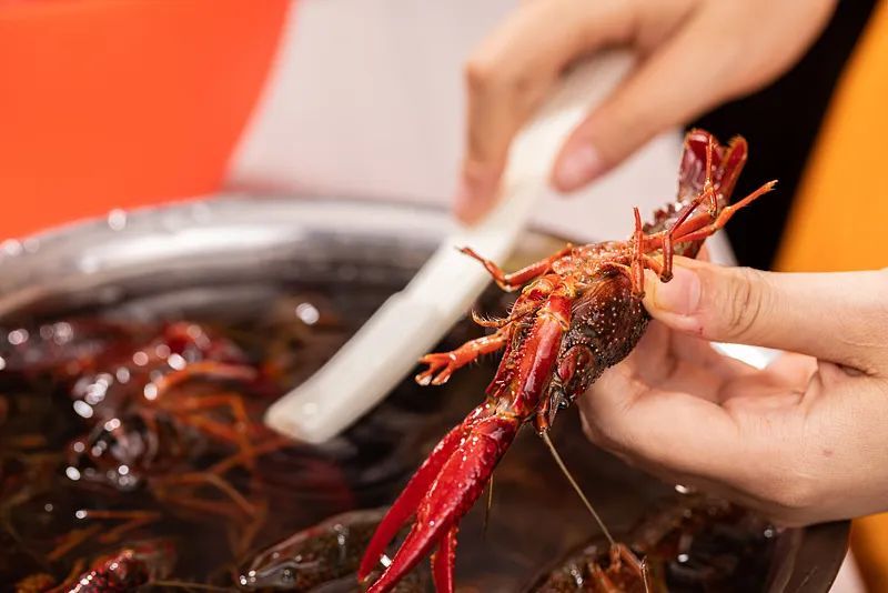 即将大量上市!很多人都吃错了! 即将大量上市!很多人都吃错了!