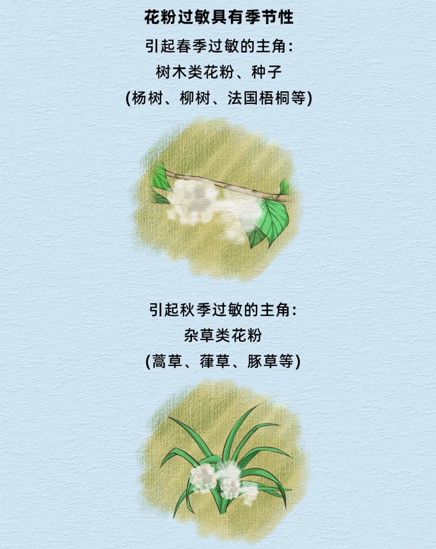 春季花粉过敏高发 “过敏星人”生存指南请收好→