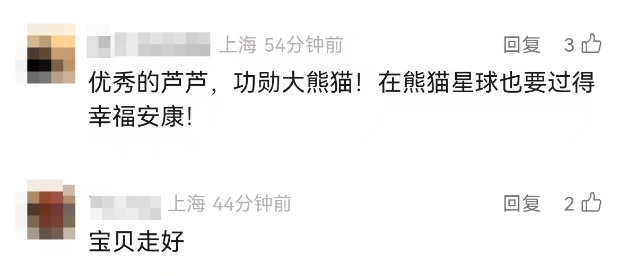 大熊猫“芦芦”去世！被称为“英雄父亲”，共育有50多个子女，还是“福宝”外公