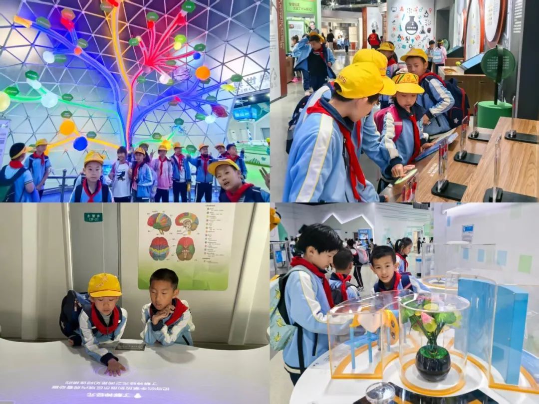 携手科学育人 共启智慧未来——北京科学中心与窦店中心校馆校合作纪实