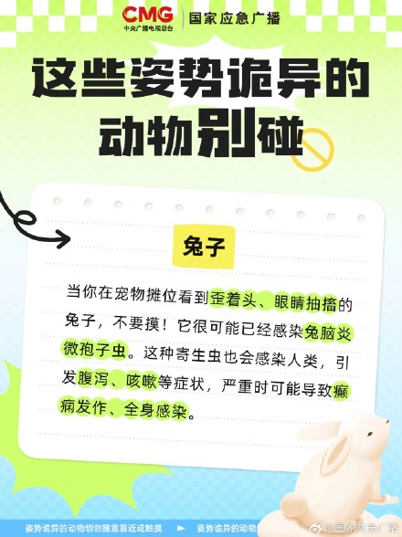 扩散提醒！遇到姿势诡异的鸟千万别碰