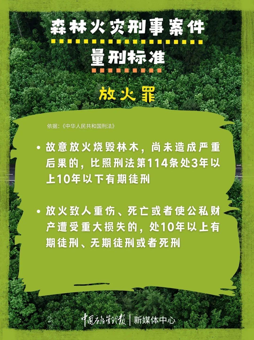 违规野外用火或涉嫌犯罪！森林防火“十不要”得记牢
