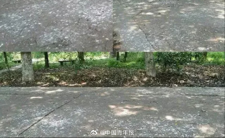 “天屎之路”引争议,这群大学生经常被“攻击”!有人写了篇论文...... “天屎之路”引争议,这群大学生经常被“攻击”!有人写了篇论文......