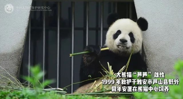 痛惜!官方证实已去世,参与过多部电影拍摄,被称"英雄父亲" 痛惜!官方证实已去世,参与过多部电影拍摄,被称"英雄父亲"