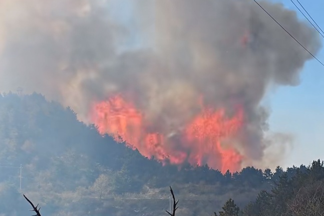 山西壶关县山火已蔓延至陵川县，266名居民紧急转移！
