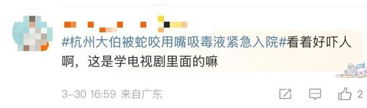 被咬一口，肿到发黑！发现请立即远离