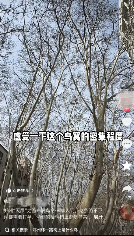 林业局回应郑州天屎之路争议