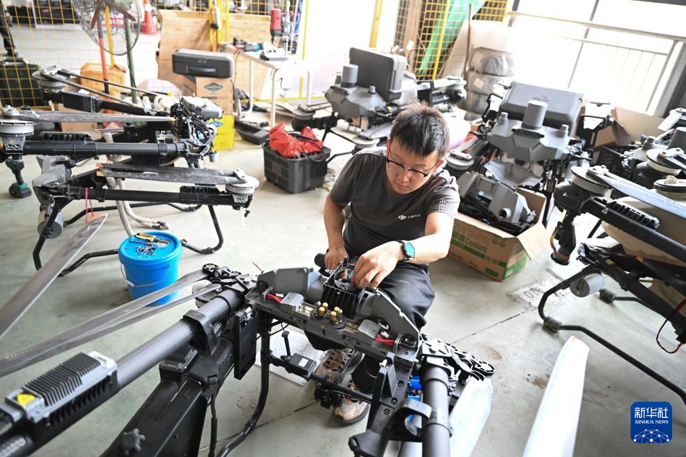 湖北秭归:脐橙“飞”上天 湖北秭归:脐橙“飞”上天