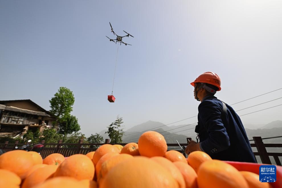 湖北秭归:脐橙“飞”上天 湖北秭归:脐橙“飞”上天