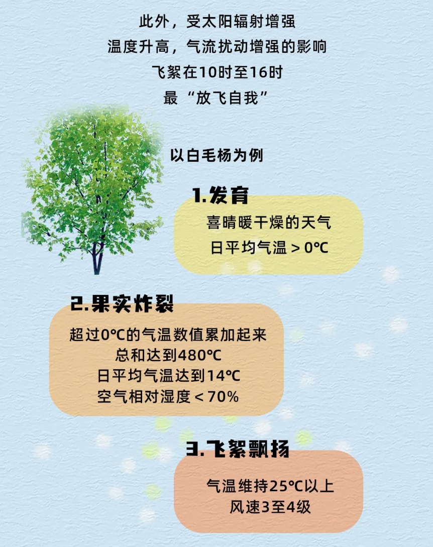 春季花粉过敏高发 “过敏星人”生存指南请收好→