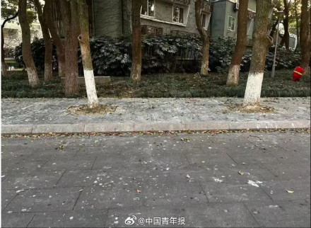 “天屎之路”引争议,这群大学生经常被“攻击”!有人写了篇论文...... “天屎之路”引争议,这群大学生经常被“攻击”!有人写了篇论文......