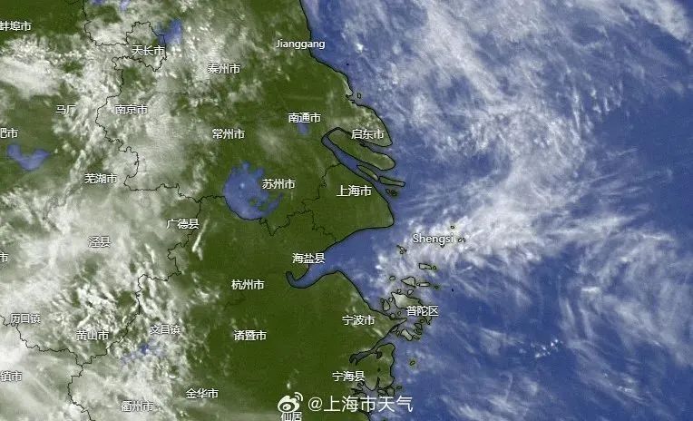 见证历史，上海气温创152年同期最高！飘絮预警，即将峰值！过敏人群预防方法→