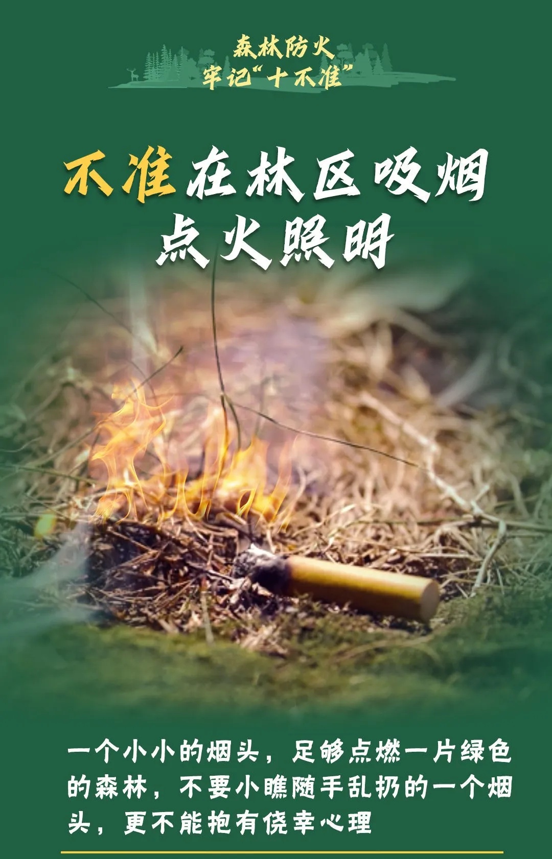 山西壶关县山火已蔓延至陵川县，266名居民紧急转移！