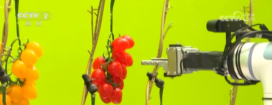 透过广交会看中国外贸向“新”而行 “智造”成闪耀“标签”