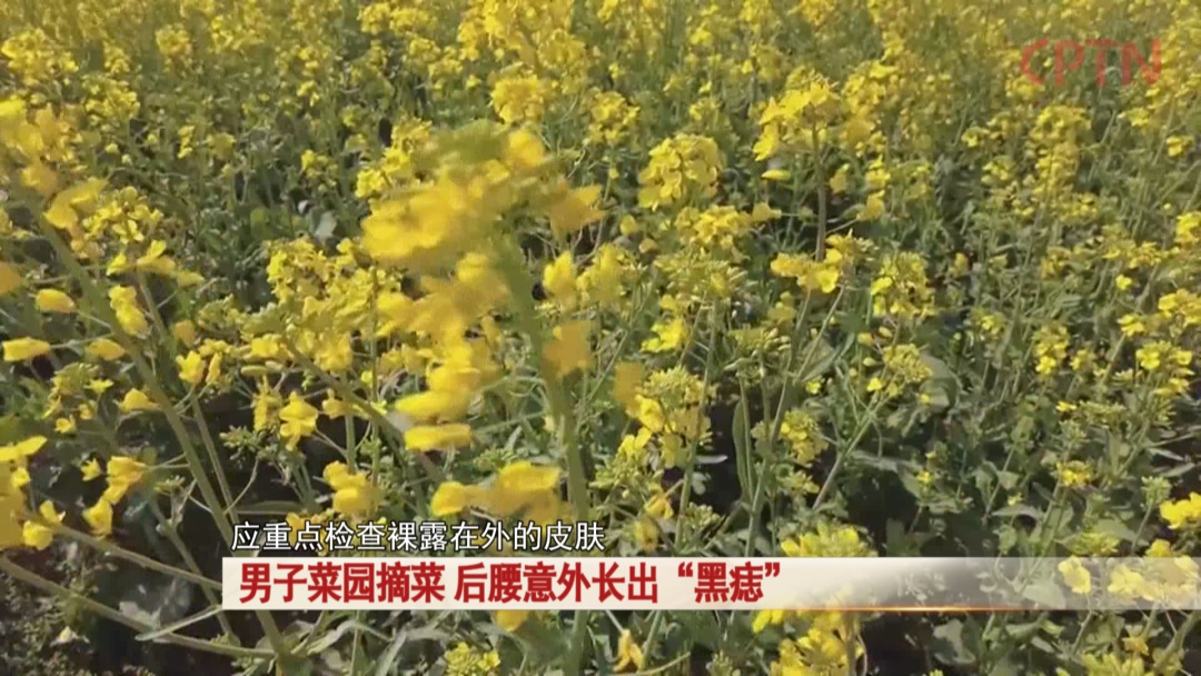 男子菜园摘菜，后腰意外长出“黑痣”！