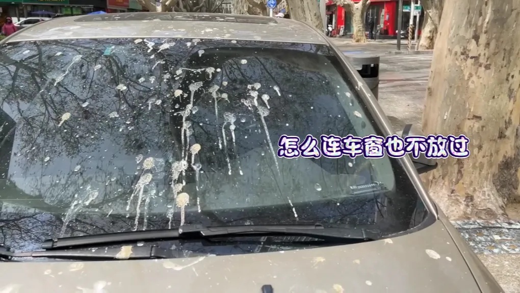 宁波“天屎之路”引热议，有人测算：55.4秒通过即可