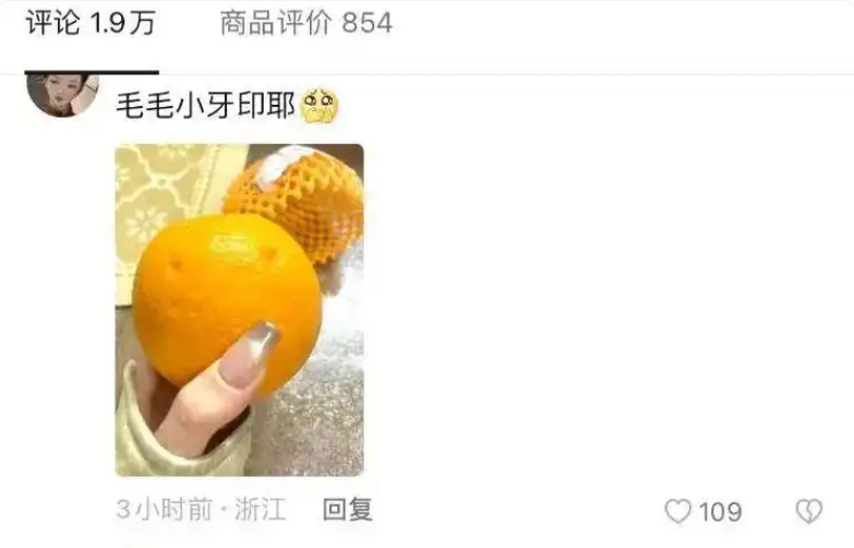 摘橙子的网红小狗毛毛去世