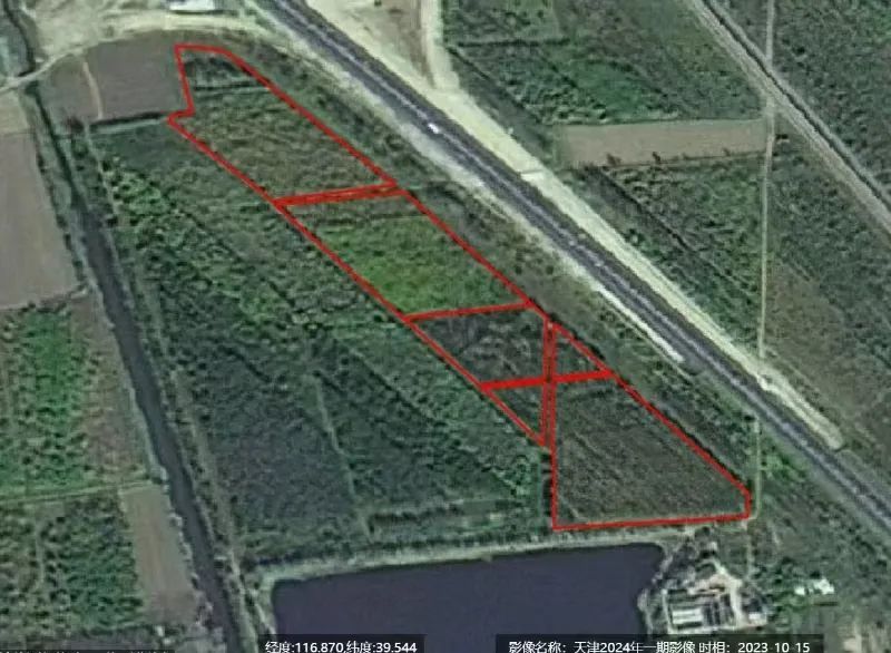破坏耕地、毁林毁草典型问题突出 多地被通报
