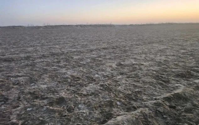 破坏耕地、毁林毁草典型问题突出 多地被通报