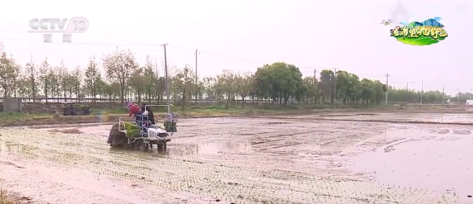 数字赋能春耕沃野生机勃勃 一幅幅“科技春耕图”在广袤田野铺展开 数字赋能春耕沃野生机勃勃 一幅幅“科技春耕图”在广袤田野铺展开