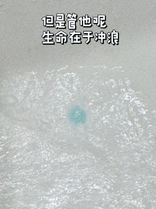 把酵母和牙膏当宠物养？网友：果然老祖宗有智慧……