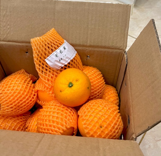 小狗“毛毛”离世！网友：再也买不到毛毛果了