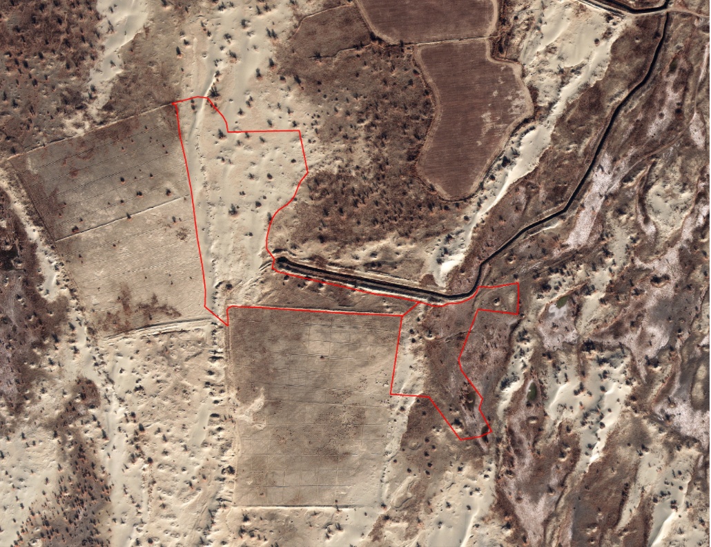 破坏耕地、毁林毁草典型问题突出 多地被通报