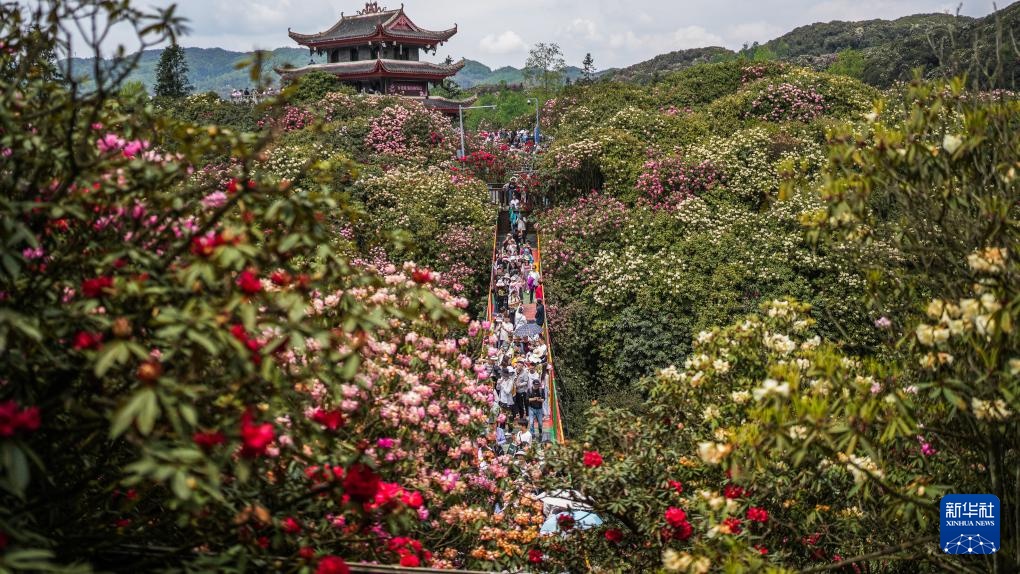 贵州：多彩大地 风光无限