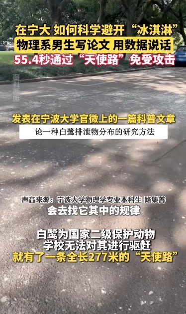 又一地惊现“天屎之路”！路人被“袭击”，有大学生为此写论文...