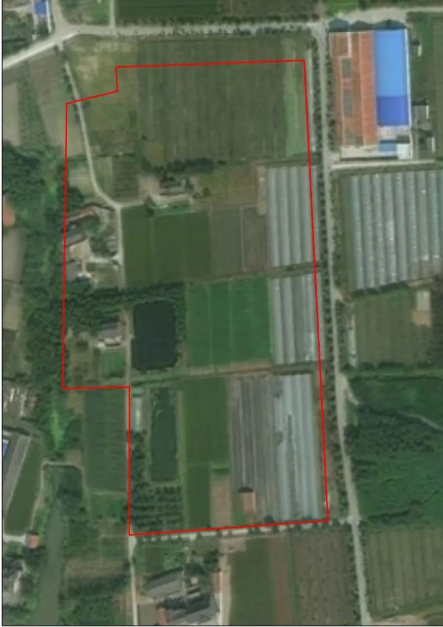 破坏耕地、毁林毁草典型问题突出 多地被通报