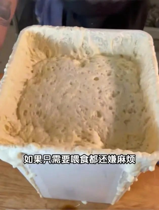 把酵母和牙膏当宠物养？网友：果然老祖宗有智慧……