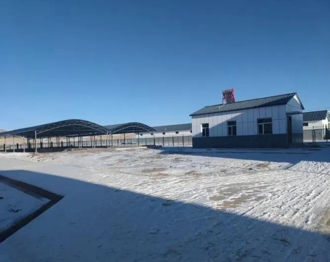 破坏耕地、毁林毁草典型问题突出 多地被通报