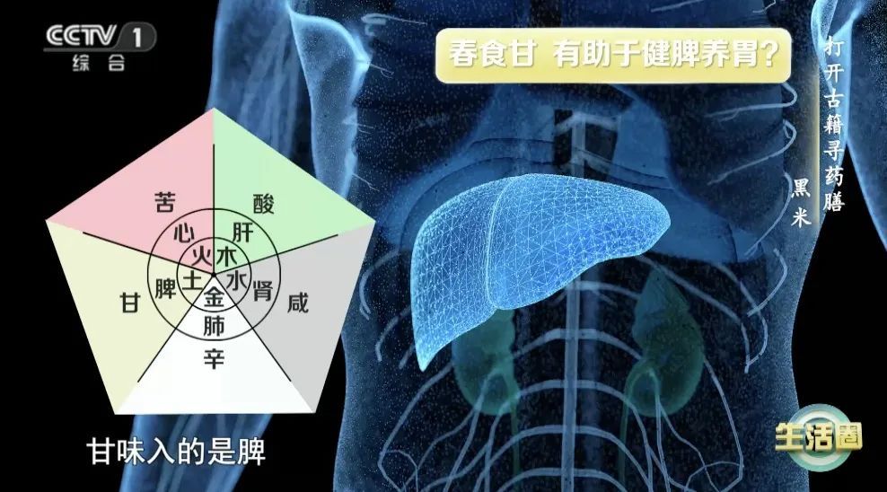 春天多吃这种“味道”的食物，让你阳气足、肝气畅、脾胃强、少生病