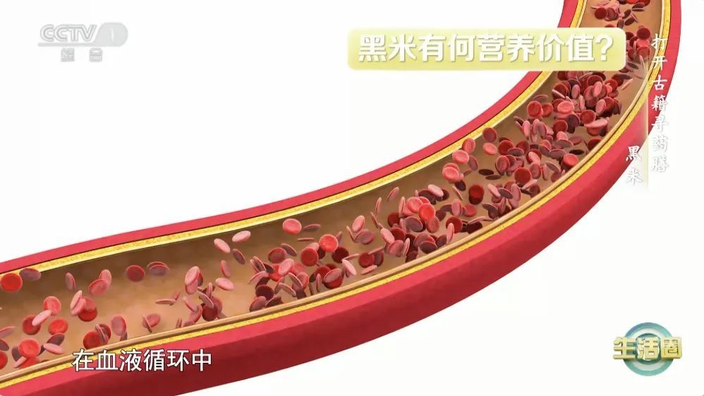 春天多吃这种“味道”的食物，让你阳气足、肝气畅、脾胃强、少生病