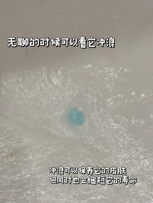 把酵母和牙膏当宠物养？网友：果然老祖宗有智慧……