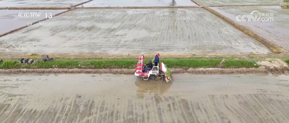 数字赋能春耕沃野生机勃勃 一幅幅“科技春耕图”在广袤田野铺展开 数字赋能春耕沃野生机勃勃 一幅幅“科技春耕图”在广袤田野铺展开
