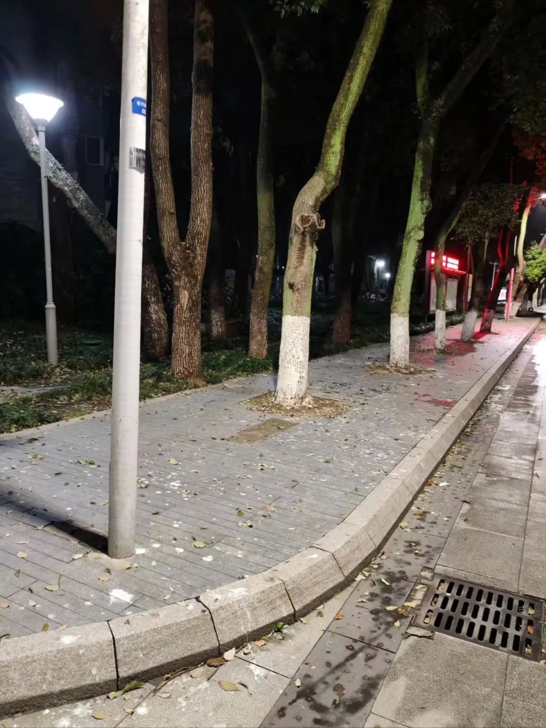 宁波“天屎之路”引热议，有人测算：55.4秒通过即可