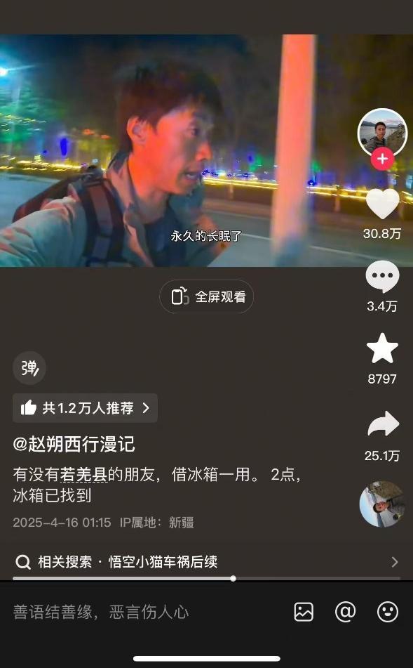 网红小猫“悟空”因车祸去世，网友：爱和离别都是小猫想要教给你的