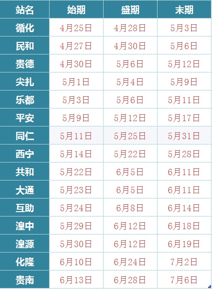 注意防护 青海发布杨柳飞絮盛期预报