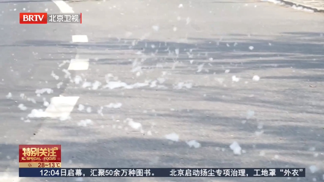 千万别碰！春天满地都是，2秒就能烧着！