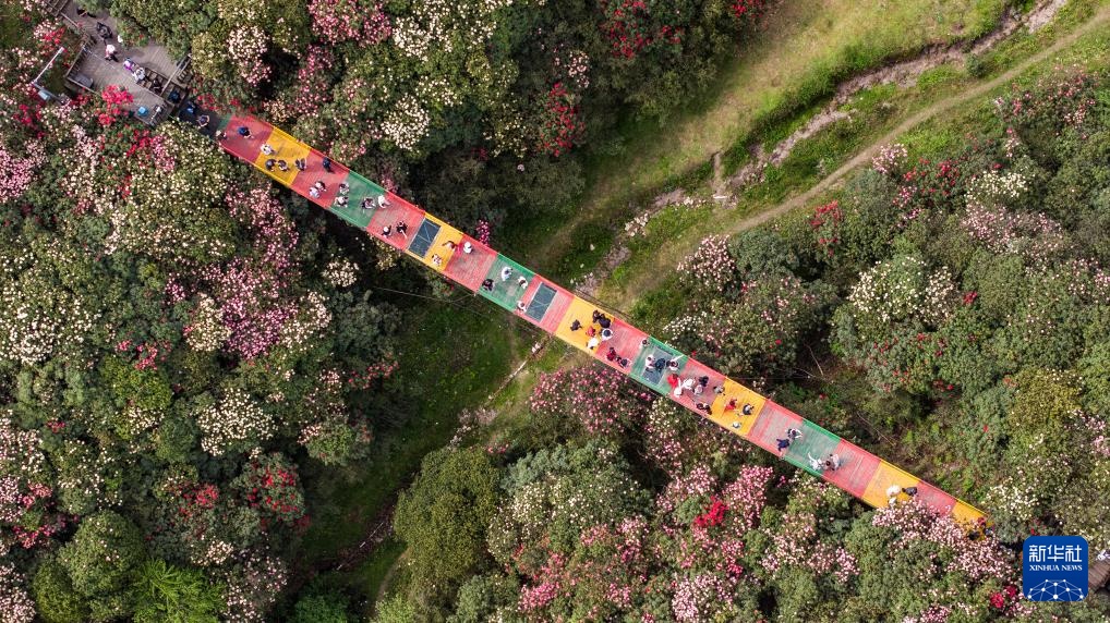 贵州：多彩大地 风光无限