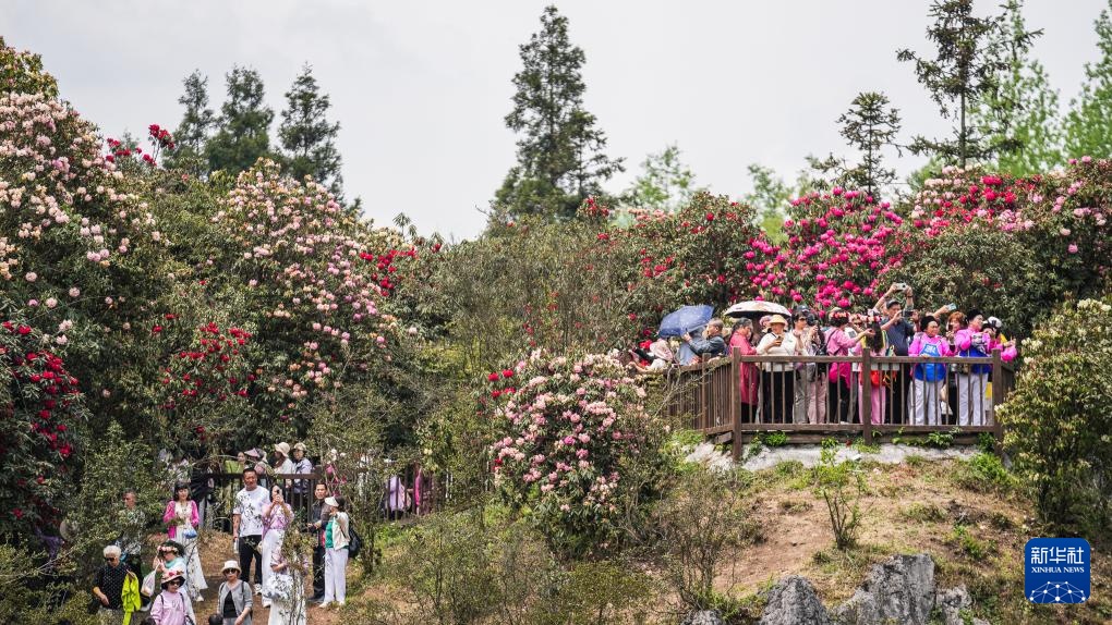 贵州：多彩大地 风光无限