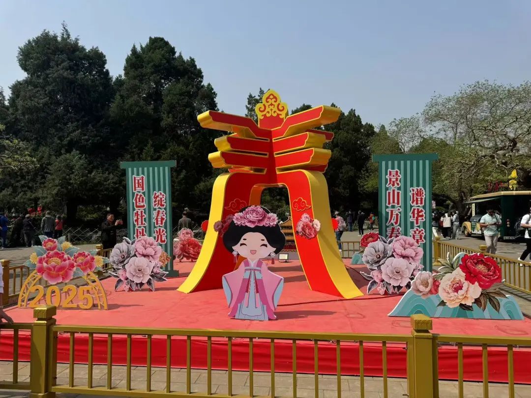 打卡《国色芳华》同款牡丹！景山2万余株牡丹盛宴来了