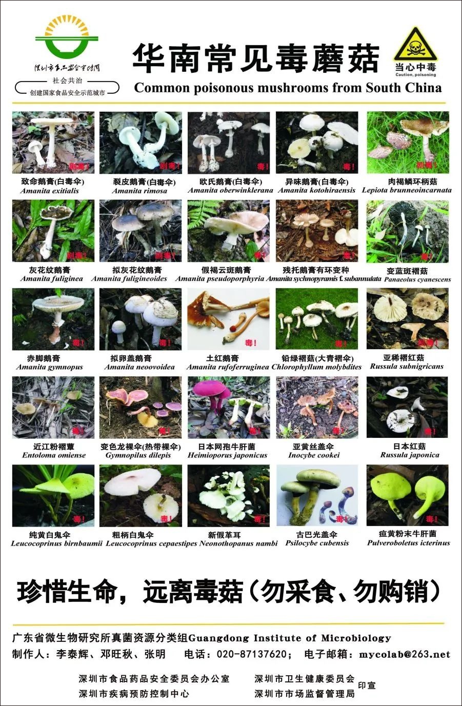 官方通报！广东发病2例，死亡2例！近期大量出现，千万别误食！